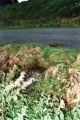 Povodně v roce 2002