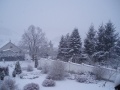 Zima 2011 Zima 2011