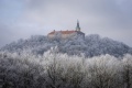 novoroční pochod 2025 novoroční pochod 2025